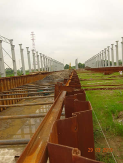 image(33)(1).png
